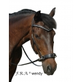 Wendy B Side Pull Bitless Bridle And Reins